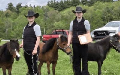 The Barnestead Banner issue 48 July 2025